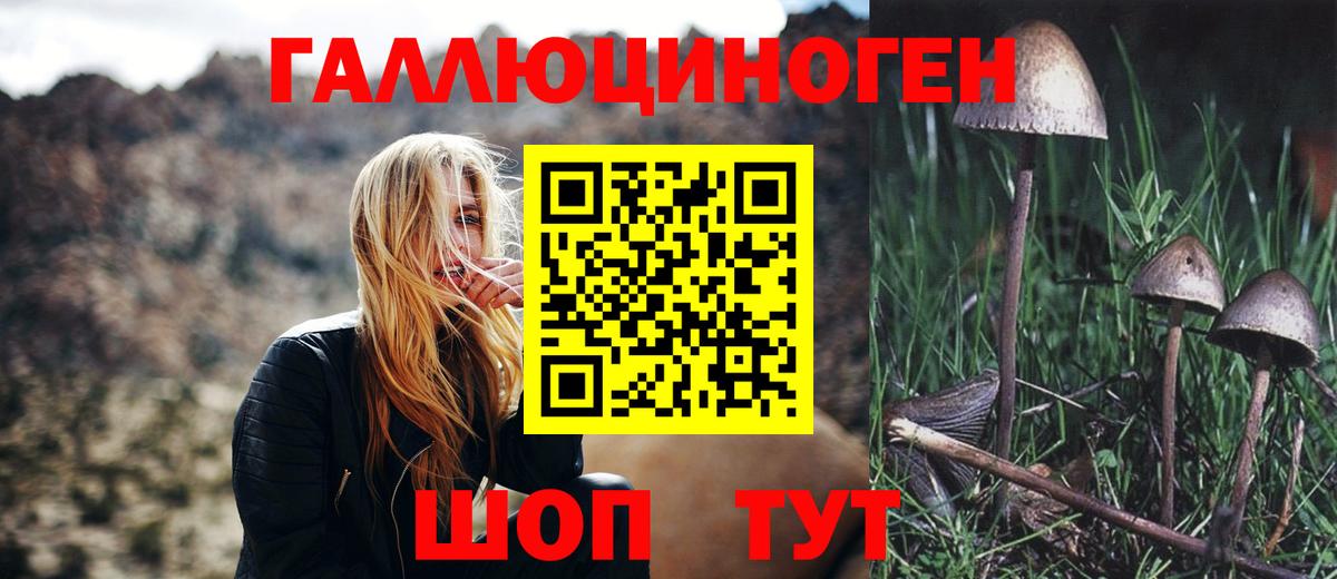 Галлюциногенные грибы мухоморы  Вход с VPN  Алатырь 
